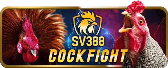 Đá gà cựa dao SV88TV
